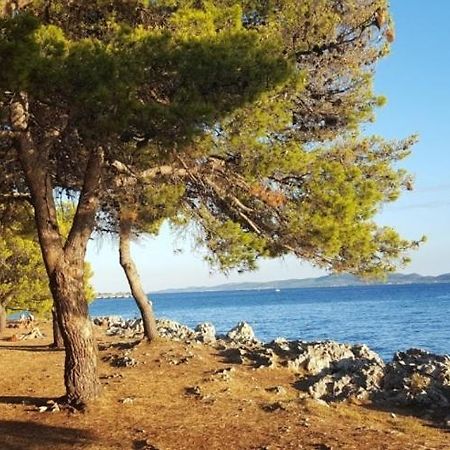 Apartman Rosa Zadar Dış mekan fotoğraf